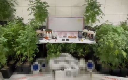 Jandarmadan uyuşturucu operasyonu: Evde üretim düzeneği kurmuş