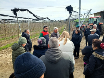 Lüleburgaz’da üreticilere uygulamalı budama eğitimi