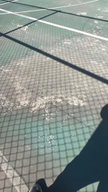 Bilecik’te spor kompleksinin hali işler acısı