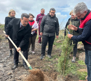 Burhaniye’de 315 fıstıkçamı fidanı toprakla buluşturuldu