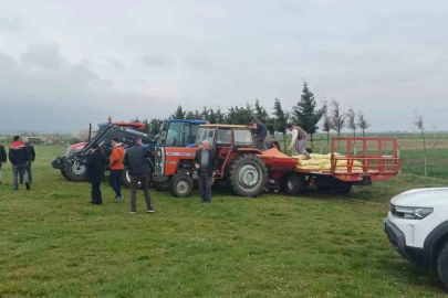 Merada gübreleme çalışması yapıldı
