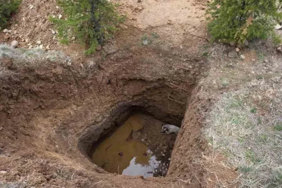 Ankara’da kaçak kazının yapıldığı çukura düşen köpek kurtarıldı
