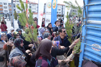 Karapınar’da ağaçlandırma etkinliği
