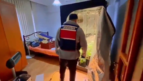 Yalova’da evinde uyuşturucu yetiştiren şüpheli yakalandı