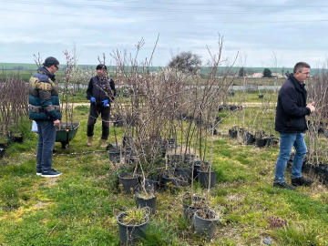 Lüleburgaz’da fidan satış noktalarına denetim