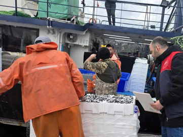 Kırklareli’nde hamsi avcılığına sıkı denetim: 15 milyon 270 bin 699 kilogram hamsi karaya çıkarıldı