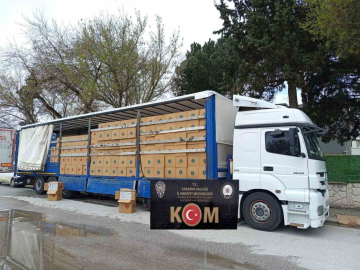 Polis kaçakçılığa izin vermiyor: 8 milyon boş makaron ele geçirildi