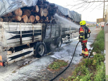 Tomruk yüklü TIR dorsesi alevel alev yandı