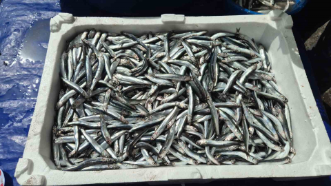 Av yasağı öncesi pazarda yoğunluk