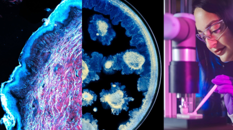 L’Oréal ve Institut Pasteur’den cilt sağlığı biliminde iş birliği