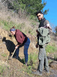 Edremit’te Kazdağı Bal Ormanına uluslararası ilgi