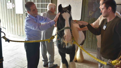 Pendik’te atlarla şifa: Yaşlılar için atla terapi dönemi başladı