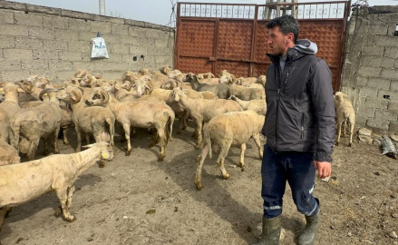Kurbanlık parasıyla evlenmişti şimdi doğacak bebeği için kullanacak