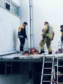 4 el silah sesi duyuldu, kadın kendini 6. kattan aşağı attı