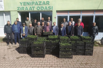 Bilecik’te 8 bin çilek fidesi üreticiyle buluştu
