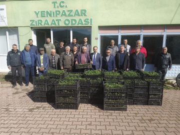 Bilecik’te 8 bin çilek fidesi üreticiyle buluştu