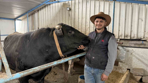 Aksiliklerinden kantara çıkamıyorlar: 4 yaşındaki dev tosunları gören bir daha bakıyor