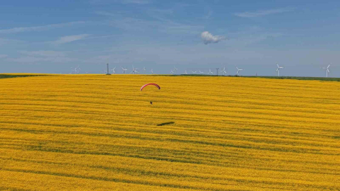Tekirdağ’da sarı şölen: Paramotorlar sarı tarlaları gezdi