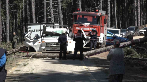 Uludağ’da inanılmaz olay...Kesilen ağaç seyir halindeki kamyonetin üzerine devrildi: 1 ölü