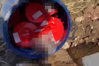 Plastik kutularda 21 cenin bulundu
