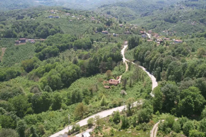 Zonguldak ormanları baharın gelişiyle dronla görüntülendi

