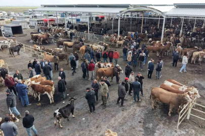Aksaray’da hayvan pazarında kurban hareketliliği yaşanıyor
