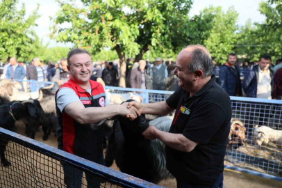 Muğla’da Kurban pazarlarında sıkı denetim
