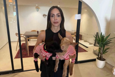 Anneleri ölen oğlakları sahiplendi, işlettiği kafede bakmaya başladı
