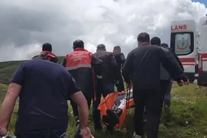 Mantar toplarken ayı saldırısına uğradı
