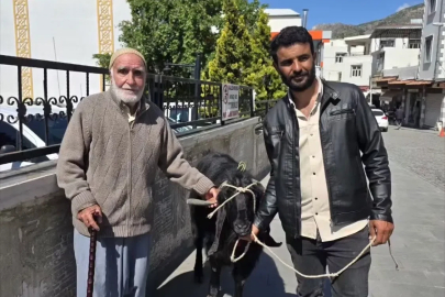70 kiloluk dev keçi 36 bin liraya satıldı
