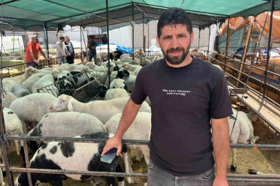 İzmir kurban pazarlarında sosyal medya rüzgarı
