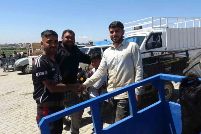 Kilis’te kurbanlık pazarında hareketlilik arttı

