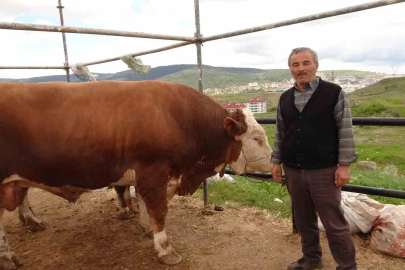 Yozgat hayvan pazarında kurbanlıklar alıcısını bekliyor
