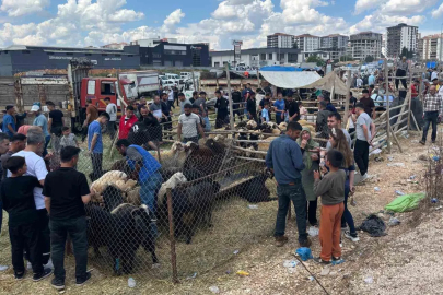 Arefe günü Gaziantep’teki kurban pazarlarında yoğunluk had safhaya çıktı
