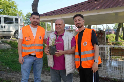 Atakum Belediyesinden kabir ziyareti yapan vatandaşlara çiçek fidesi
