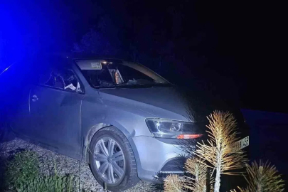 Seyir halindeki otomobile geyik çarptı: 2 yaralı
