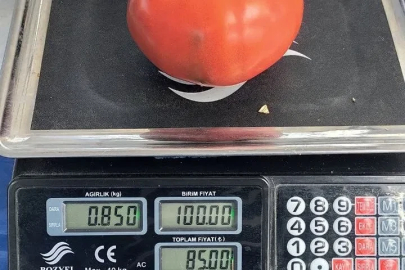 Aydın’da 850 gramlık domates pazarda ilgi gördü
