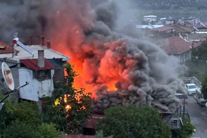 Bozdoğan’da ev yangını
