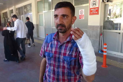 Şanlıurfa’da bayramın ilk gününde 232 acemi kasap hastanelik oldu

