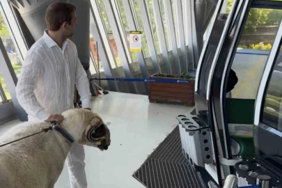 Bayramda keseceği koçla teleferik keyfi yaptı
