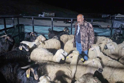 Elazığ’da kurban pazarında uykusuz mesai: Geceyi hayvanlarının başında geçiriyorlar
