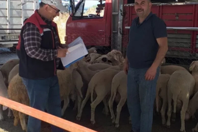 Köşk’te Kurban Bayramı boyunca veteriner denetimleri sürecek
