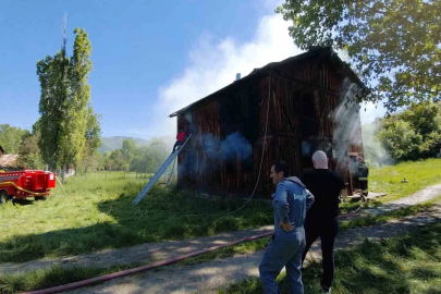 Alevlere teslim olan ahşap eve müdahale için ceviz ağacı kesildi
