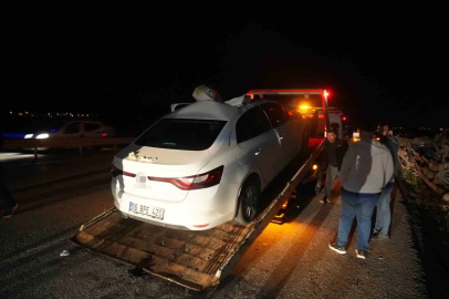 Muş-Bingöl kara yolunda otomobil ata çarptı: 7 yaralı
