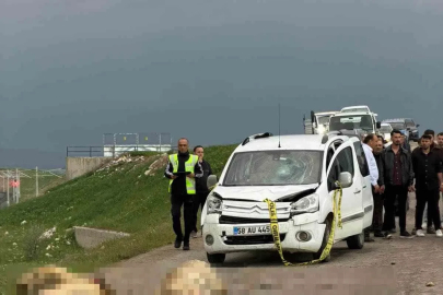 Ticari araç koyun sürüsüne daldı: Çoban öldü, 9 koyun telef oldu
