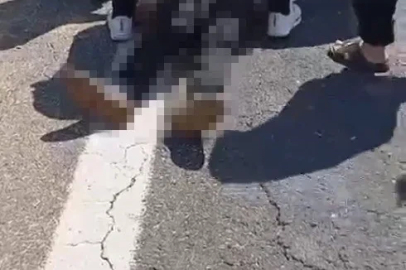 Şanlıurfa’da kurbanlık yüklü kamyonet devrildi: 1 ölü, 1 yaralı
