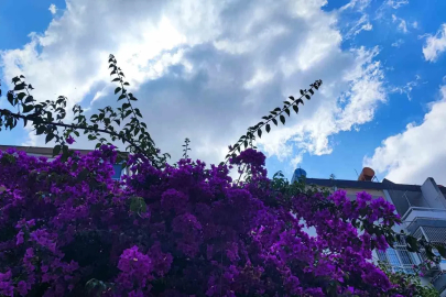 Adana iki gün yağmurlu, hafta sonu sıcaklık artacak
