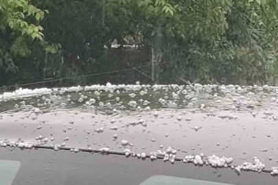 Bingöl’de dolu yağışı etkili oldu
