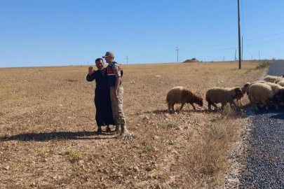 Kaybolan küçükbaş hayvanları jandarma buldu
