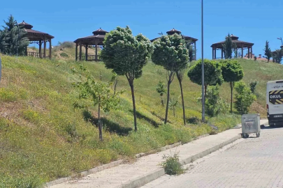 Elazığ’da şiddetli rüzgar etkili oldu
